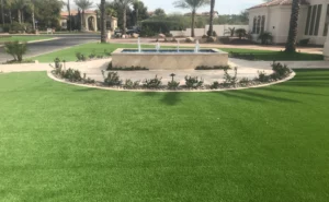 artificial turf landscaping Paradise Valley, Arizona