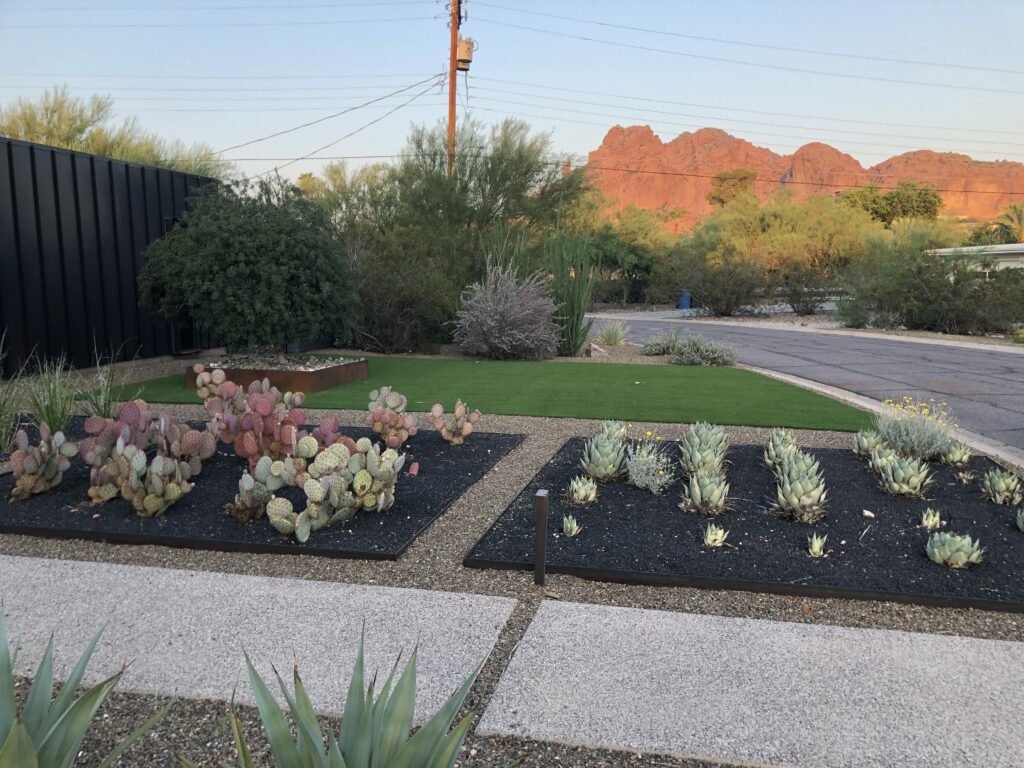 installation of new steel border, cactus, succulents, drip irrigation green synthetic turf and landscape rock