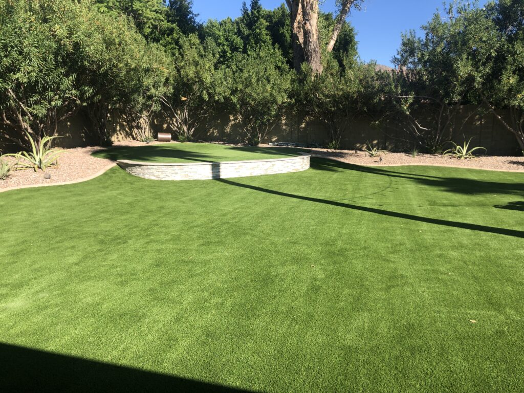 back yard Phoenix artificial artificial turf landscaping