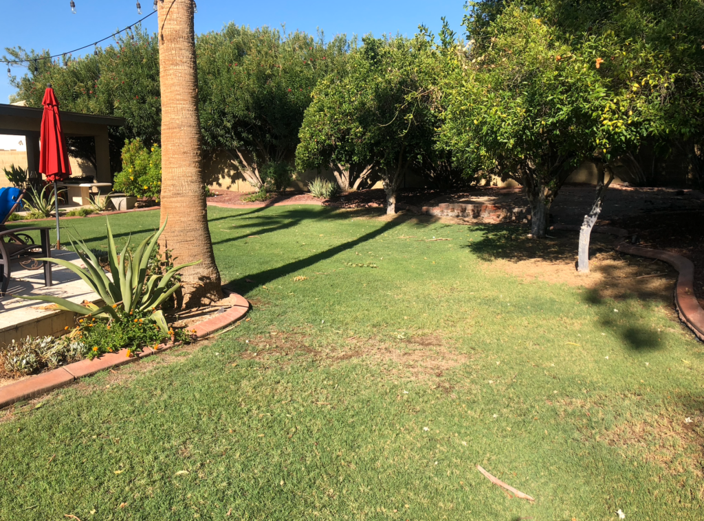 back yard Phoenix before artificial turf landscaping
